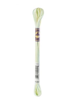 DMC COLOR VARIATIONS MULİNE İPLİK 4060