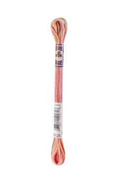 DMC COLOR VARIATIONS MULİNE İPLİK 4120