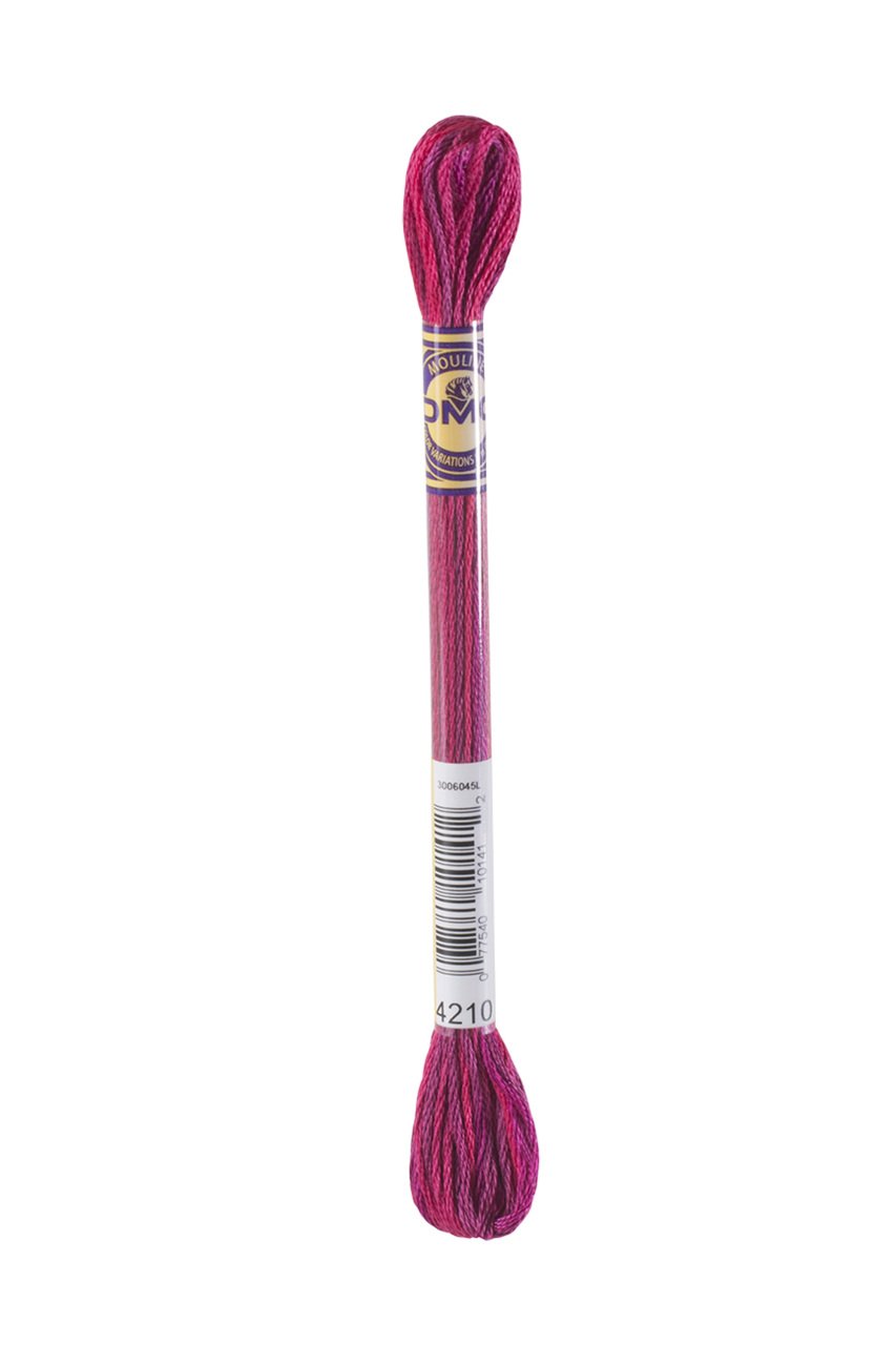 DMC COLOR VARIATIONS MULİNE İPLİK 4210